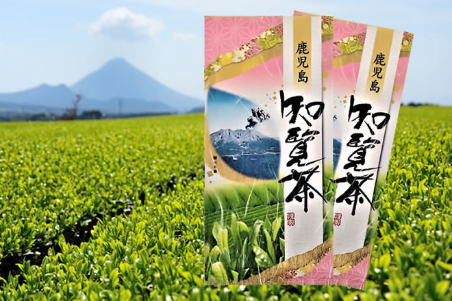 【2袋】鹿児島ブランド茶「知覧茶」/まろやかなコクと旨味/送料無料