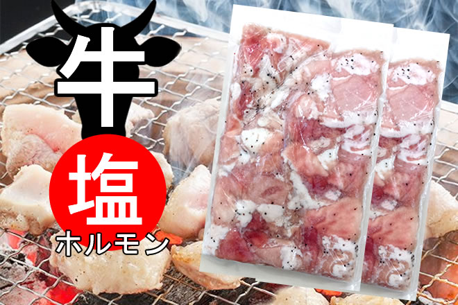 【1kg】秘伝の塩ダレ!牛塩ホルモン(500g×2)/焼肉!BBQに!