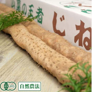 有機自然薯【家庭用】有機JAS認証/無農薬 熊本県産 産地直送 1.2kg(1~5本)