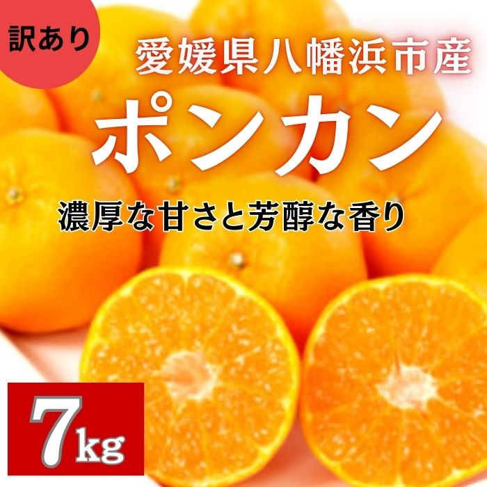 【1月2月限定】愛媛県産 ポンカン 約7kg(サイズ不揃い:訳あり)サムネイル