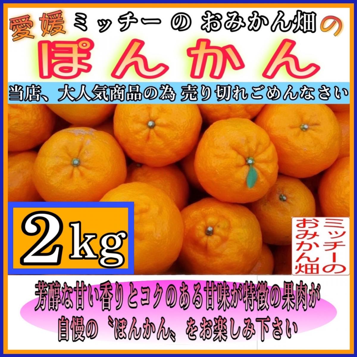 【四国 九州 本州のお客様用】《訳あり》フルーツ果物くだもの果実みかん柑橘《ポンカン/えひめ産》サムネイル