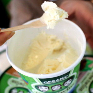 ThreeTwinsIceCream オーガニックアイス バニラ BIGサイズ473g×8個