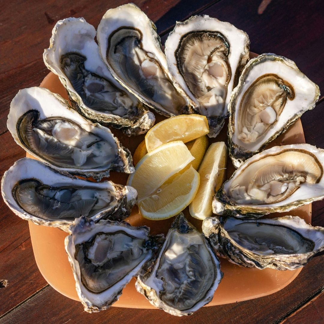 【1月限定】兵庫県産 殻付き牡蛎 10個(約50g×10個)冷凍サムネイル