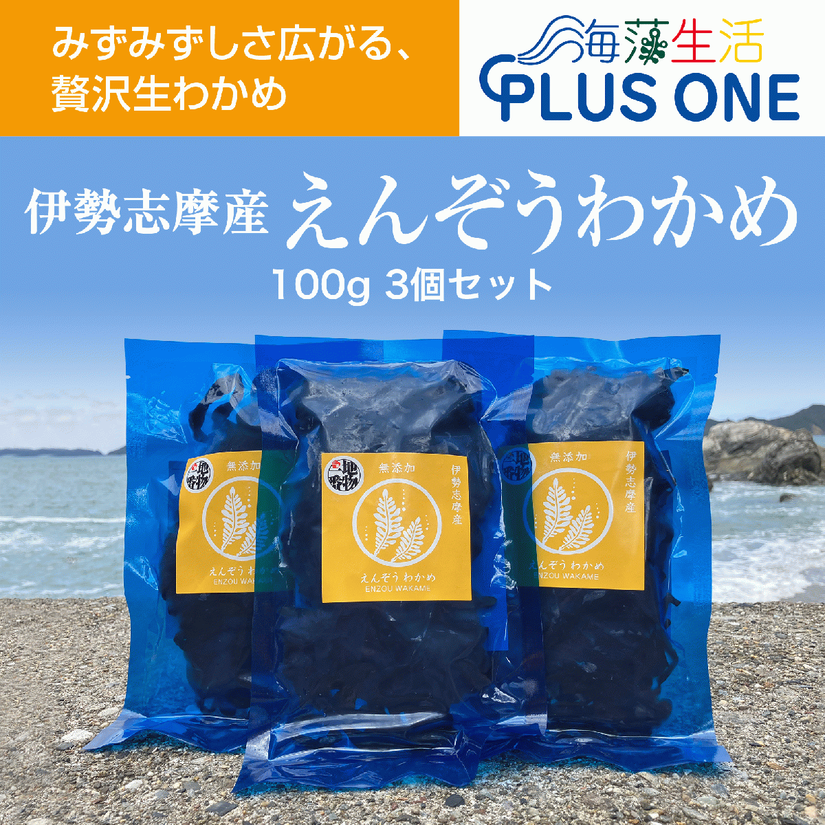 産地厳選!【産地直送】えんぞうわかめ100g袋3パック　 伊勢志摩産　鳥羽市の離島・菅島沿岸で収穫!サムネイル