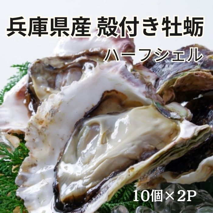 【Tabeloop限定価格】兵庫県産殻付き牡蛎　20個(約1kg)サムネイル
