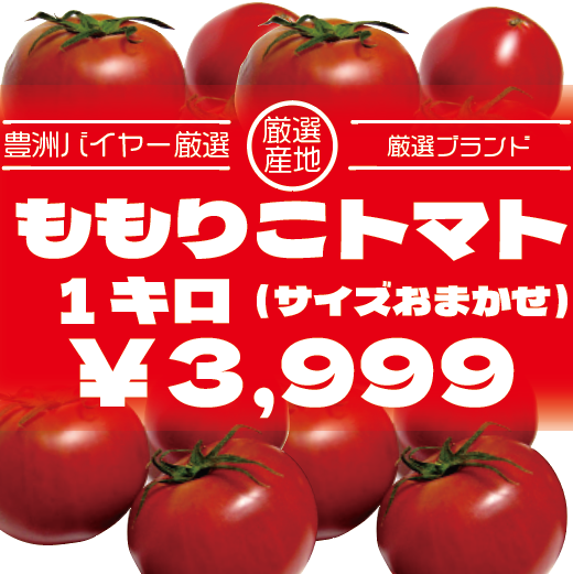 【フルーツトマト!ももりこトマト!大人気高糖度トマト】豊洲市場　北の極み　アメーラ