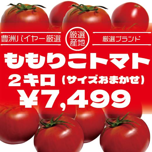 【再販決定!フルーツトマト!ももりこトマト!大人気高糖度トマト】豊洲市場　北の極み　アメーラ