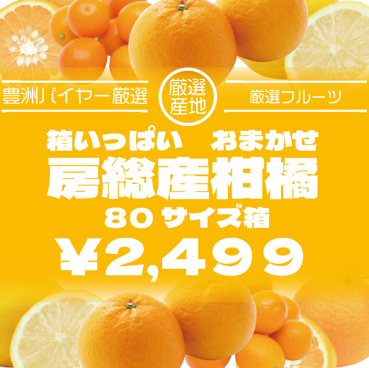 【箱いっぱい!房総柑橘(千葉県産)何が入るかは開けてからのお楽しみ♪】産地直送　産直　房総直売所商品サムネイル