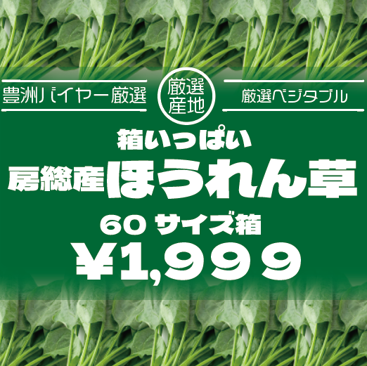 【箱いっぱい!房総産　ほうれん草	朝どれほうれん草!】産地直送　産直　房総直売所商品をお手軽に　道の