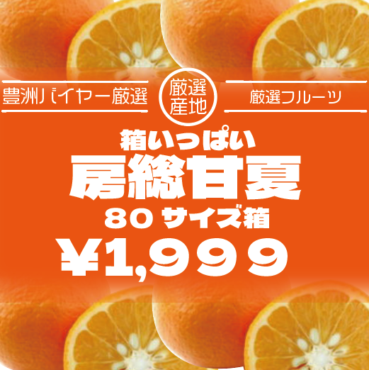 【箱いっぱい!甘夏みかん!房総エリア収穫!】産地直送　産直　道の駅直売所商品をご家庭でサムネイル