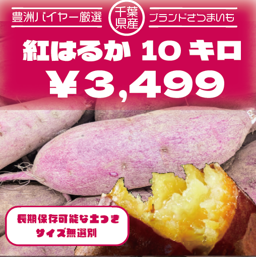 【サイズ無選別!100サイズ箱いっぱい!千葉県産紅はるか　貯蔵熟成　長期保存に最適な土付き】産直さつサムネイル