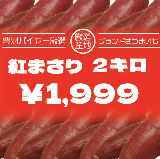 【箱いっぱい!紅まさり!房総産!さつまいも】産地直送　産直　直売所、道の駅商材をご家庭でサムネイル