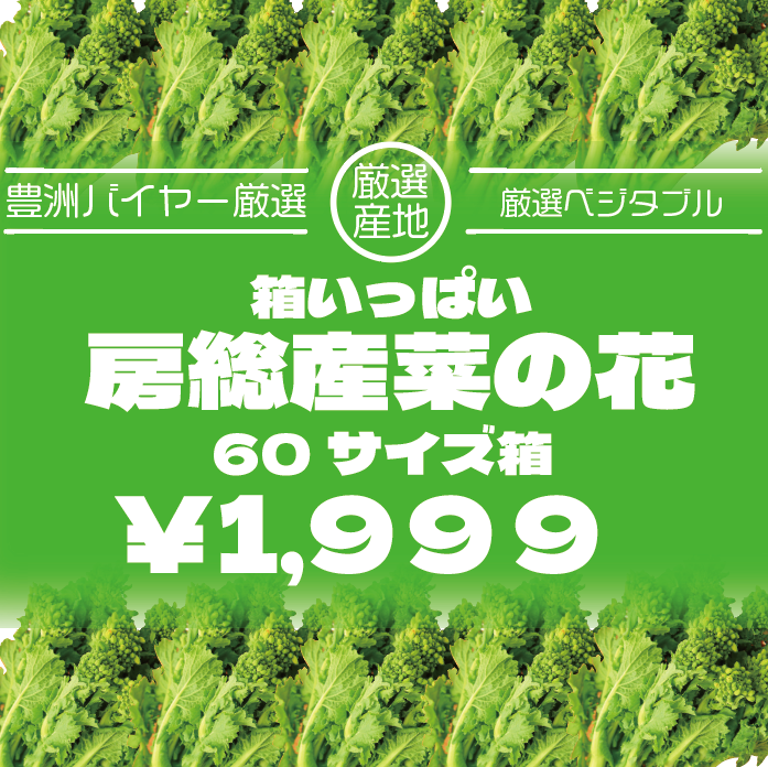 【箱いっぱい!菜花!(菜の花)　房総名産菜の花をお届け致します】産地直送　産直　房総直売所商品をお手