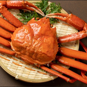 【激安】本ずわい蟹姿　ボイル冷凍　3kg(600g×5杯)カナダ産サムネイル