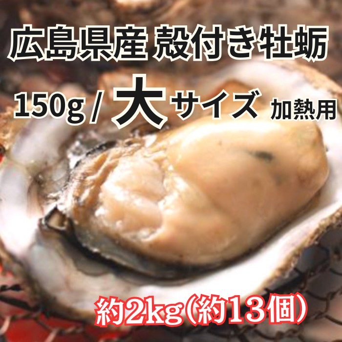 広島県産　殻付き生牡蛎　Lサイズ　約2kg(加熱用)サムネイル