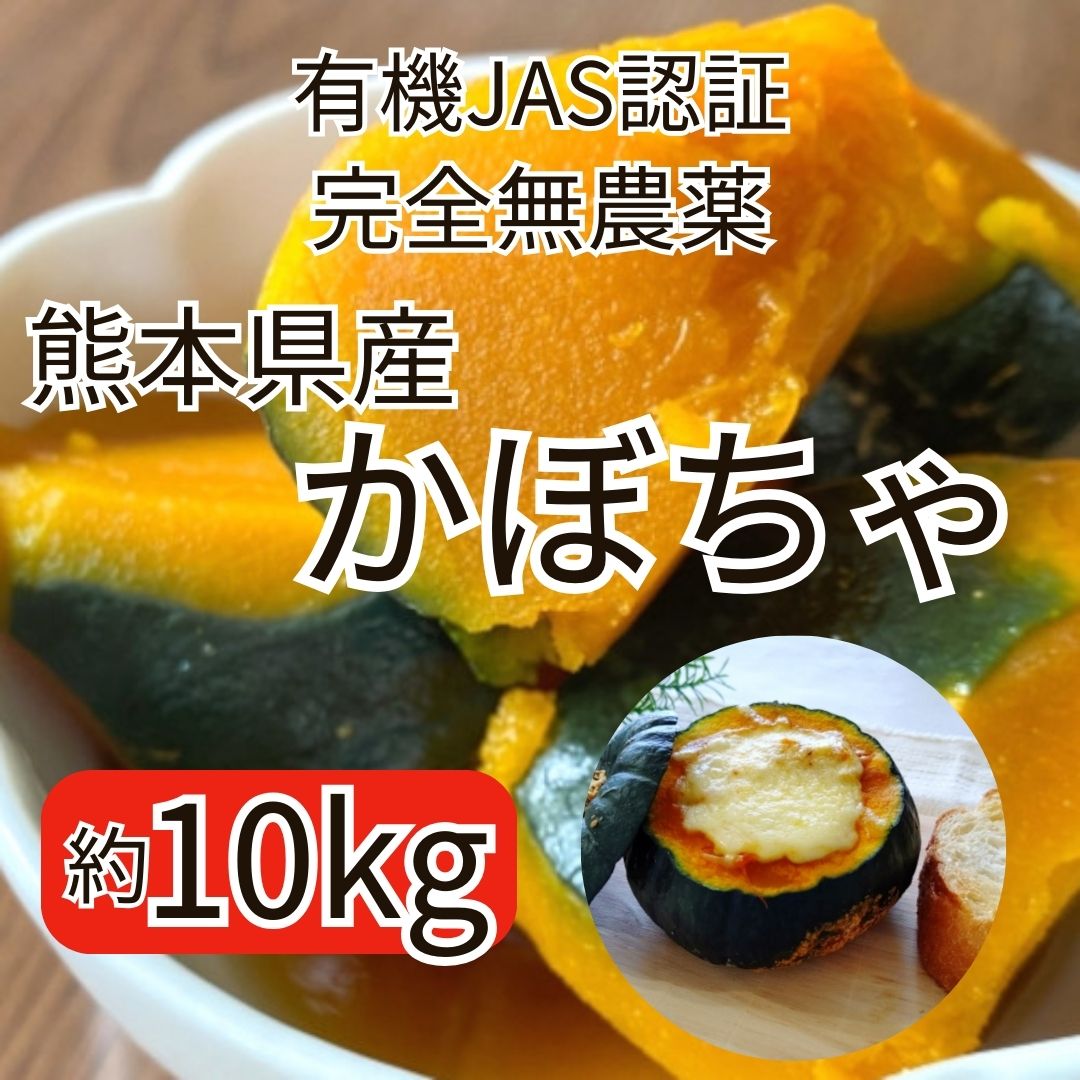 【約10kg】熊本県産南瓜/かぼちゃ 完全無農薬/有機JAS認証 サムネイル