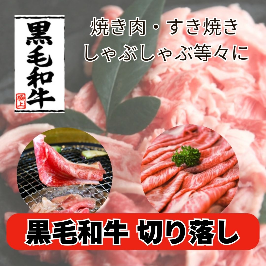 【3月限定100g272円】 国産黒毛和牛 こま肉/切り落し 2kg(500g×4パック)