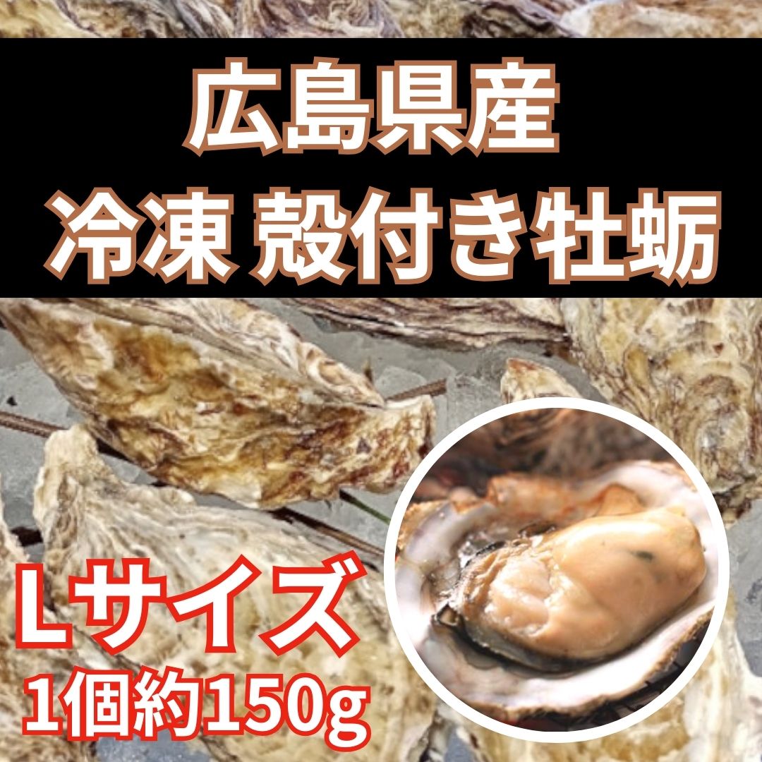 【ネット最安値】広島県産 殻付き 生牡蛎【約3kg】冷凍