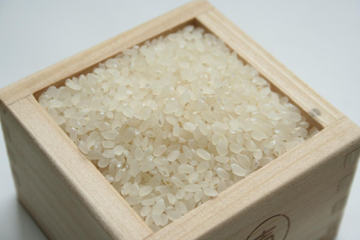 鶴岡Ⅰ型特別栽培米コシヒカリ　玄米5kgサムネイル