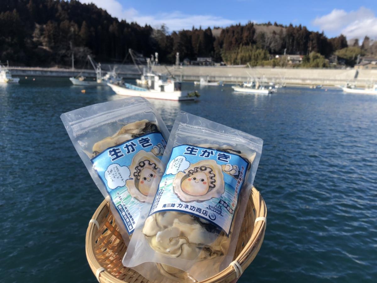 ラムサール条約湿地 南三陸志津川湾より漁師直送 生食可 真牡蠣のむき身300g×3パック 送料込み
