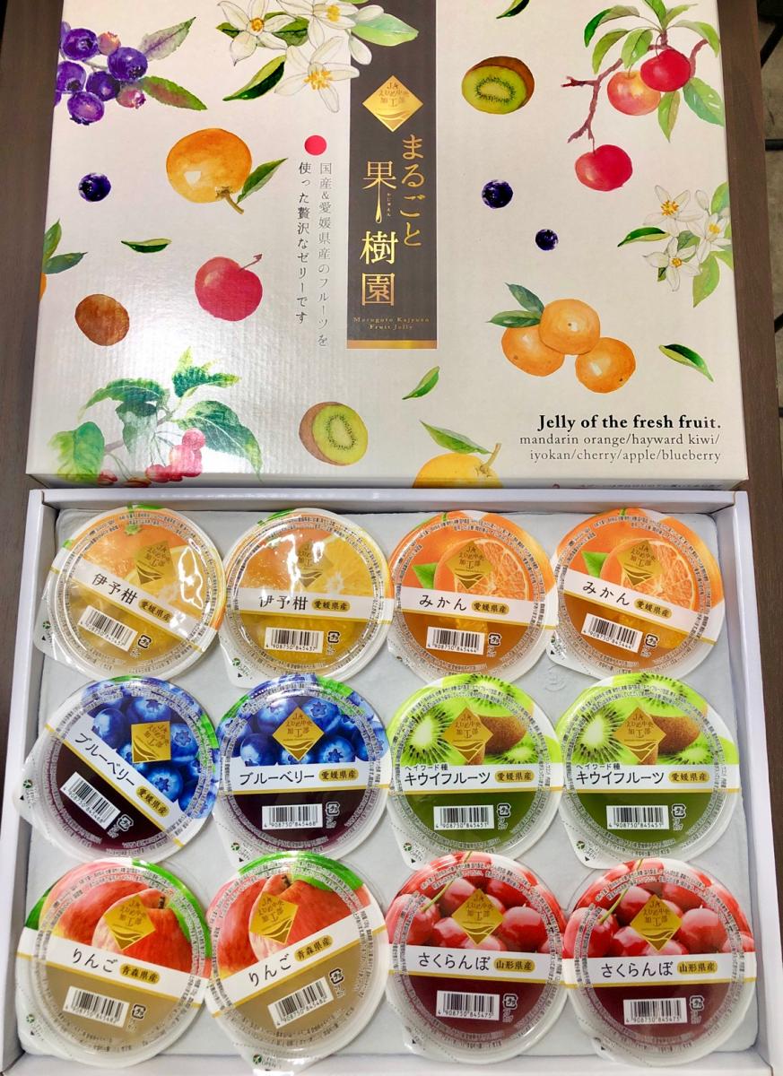 ✿愛媛県産伊予柑と国産フルーツのゼリー6種類詰め合わせ✿贈答用にも