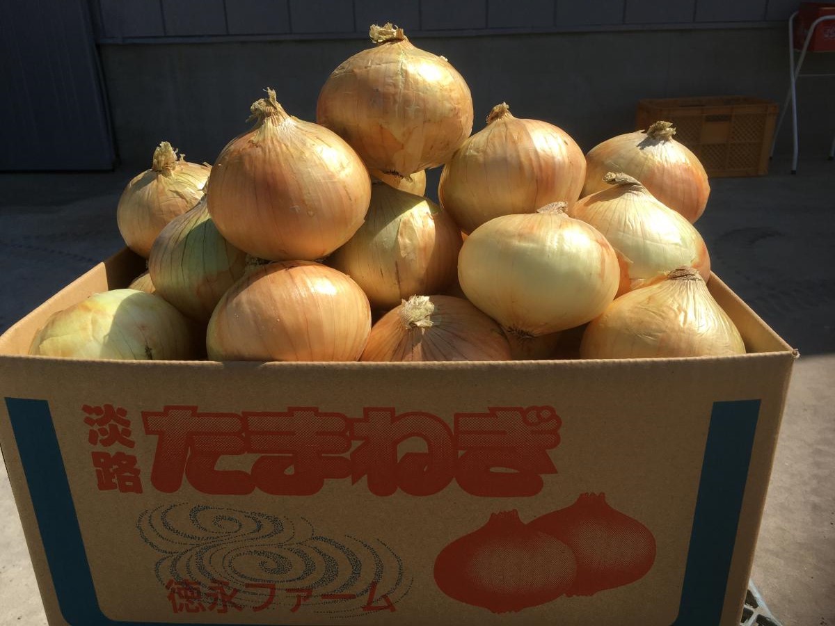 訳あり!! 淡路島産新玉ねぎ 10kg