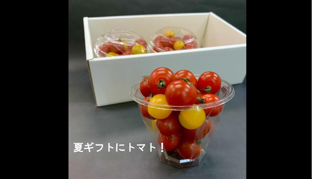 【7月発送】お中元用 夏ギフト≪熨斗対応≫ 化学肥料・農薬完全不使用 ミニトマト 70~80玉