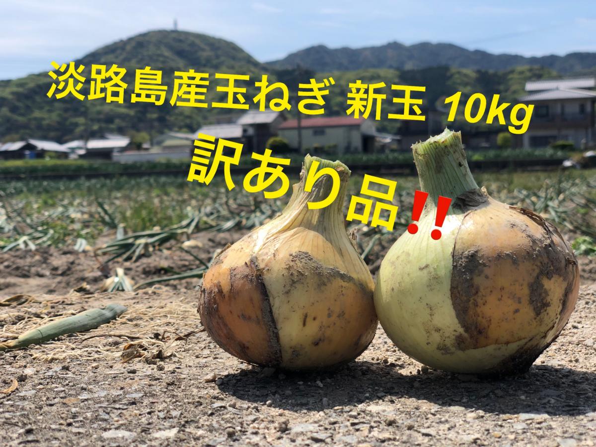 淡路島産新玉ねぎ10kg 訳あり品‼️