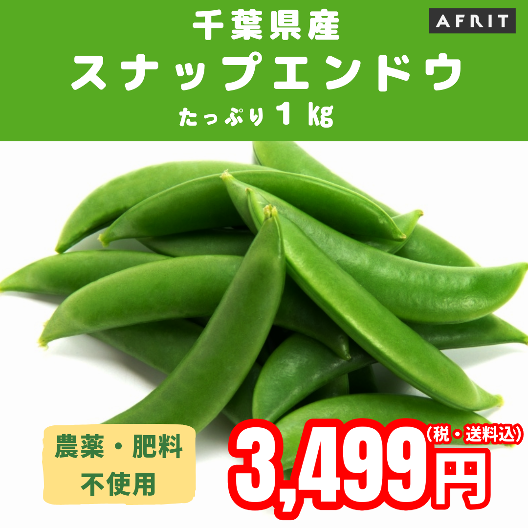 【無農薬!科学肥料不使用!農家直送!スナップエンドウ!木更津市産!】直売所で大人気商品!サムネイル