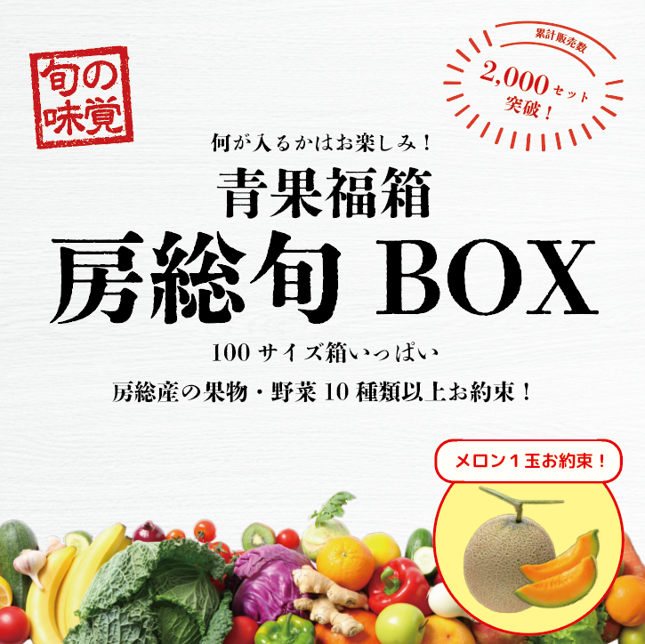 【必ずメロンが入る!房総旬BOX!!　100サイズ段ボールに野菜、果物詰め合わせます!】産直　産地直サムネイル
