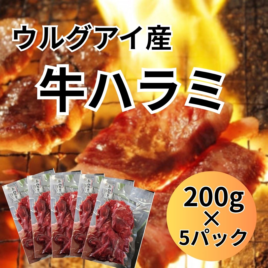ウルグアイ産牛ハンキングテンダー(牛ハラミ)1kg(200g×5パック)サムネイル