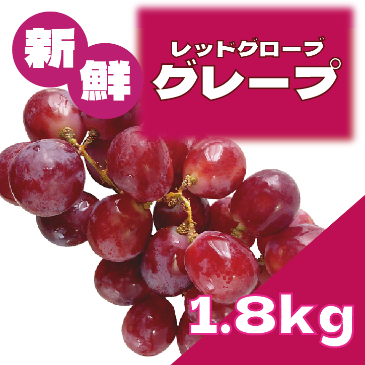 【レッドグローブ!人気のぶどうをどうぞお楽しみください】豊洲市場発