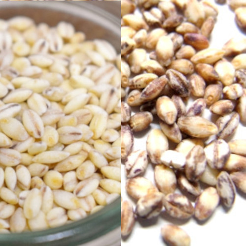 もち麦2種(キラリモチ5kg+ダイシモチ5kg)岡山県産　一等米　令和2年産サムネイル