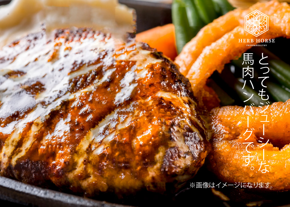驚異のヘルシーハンバーグ(120g×5枚)