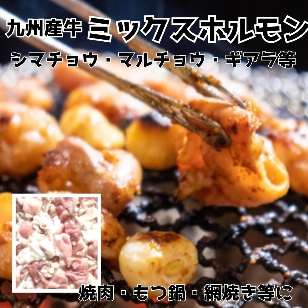【6月限定】九州産牛 ミックスホルモン 2kg(500g×4パック)サムネイル