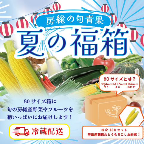 【朝どれとうもろこし付き!夏の房総福箱がやってきました!クール便配送!】直売所　道の駅商品サムネイル
