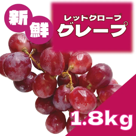 【レッドグローブ!人気のぶどうをどうぞお楽しみください】豊洲市場発サムネイル