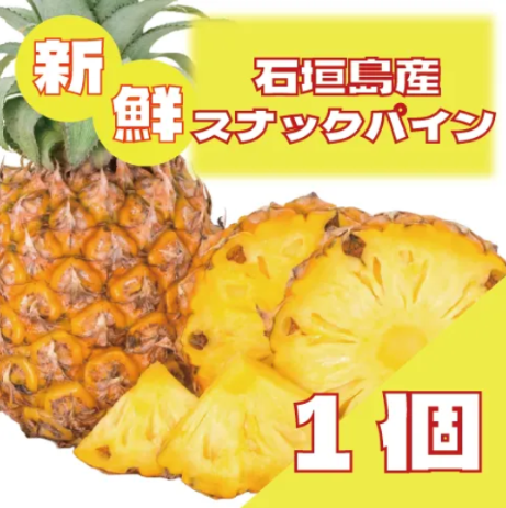【石垣島産!スナックパイン!今大人気のスナックパインがお買い得!】サムネイル