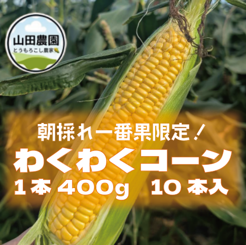 【限定出荷!鮮度抜群!木更津産朝どれとうもろこし!わくわくコーン!】産直　産地直送　農家直送きかサムネイル