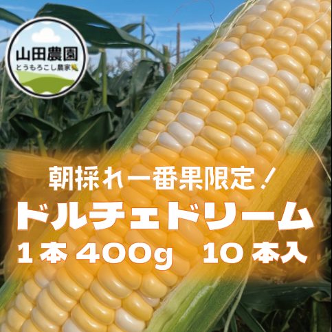 【限定出荷!鮮度抜群!木更津産朝どれとうもろこし!ドルチェドリーム!】産直　産地直送　農家直送サムネイル