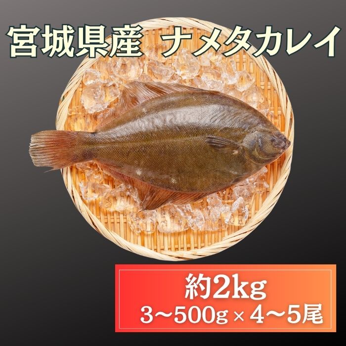 ★宮城県産　ナメタガレイ　約2kg(4～5尾)塩焼き・唐揚げ・煮付け等々サムネイル