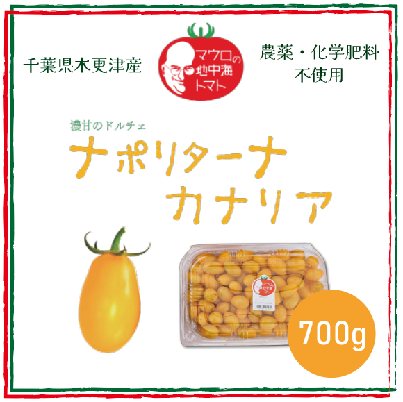 【ナポリターナカナリア!!　とまと　ミニトマト　プチトマト 　カラートマト】　産地直送　700g　サムネイル