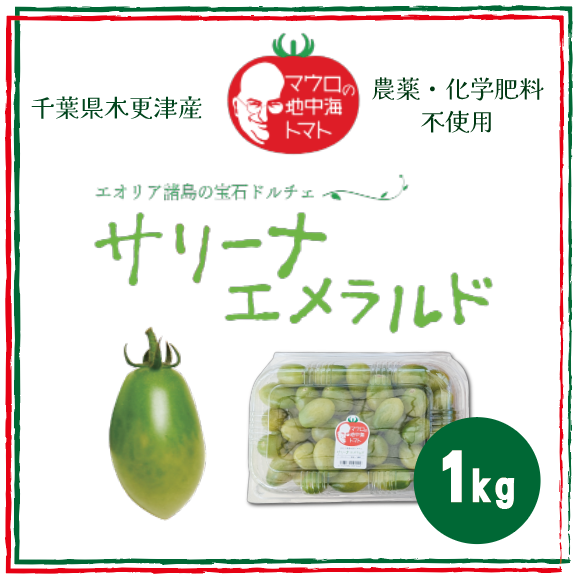 【サリーナエメラルド!!　1㎏　ミニトマト　プチトマト 　カラートマト】　産地直送　千葉県木更津産サムネイル