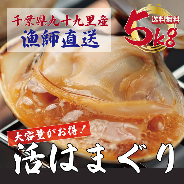 【水揚げ次第発送!期間限定!活!九十九里産!ハマグリ!鮮度抜群!大容量がお買い得の5kg!】手描き漁サムネイル