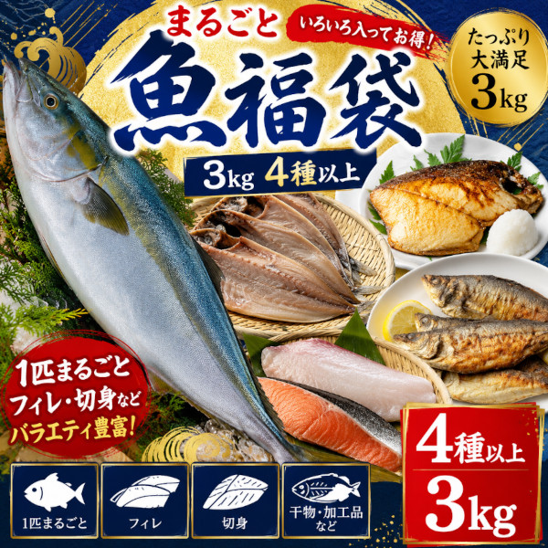 まるごと魚福袋 / とれたて鮮魚!(お刺身・焼き魚・煮付け・フライ等々に)サムネイル