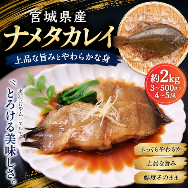 宮城県産　ナメタガレイ　約2kg(4～5尾)塩焼き・唐揚げ・煮付け等々サムネイル