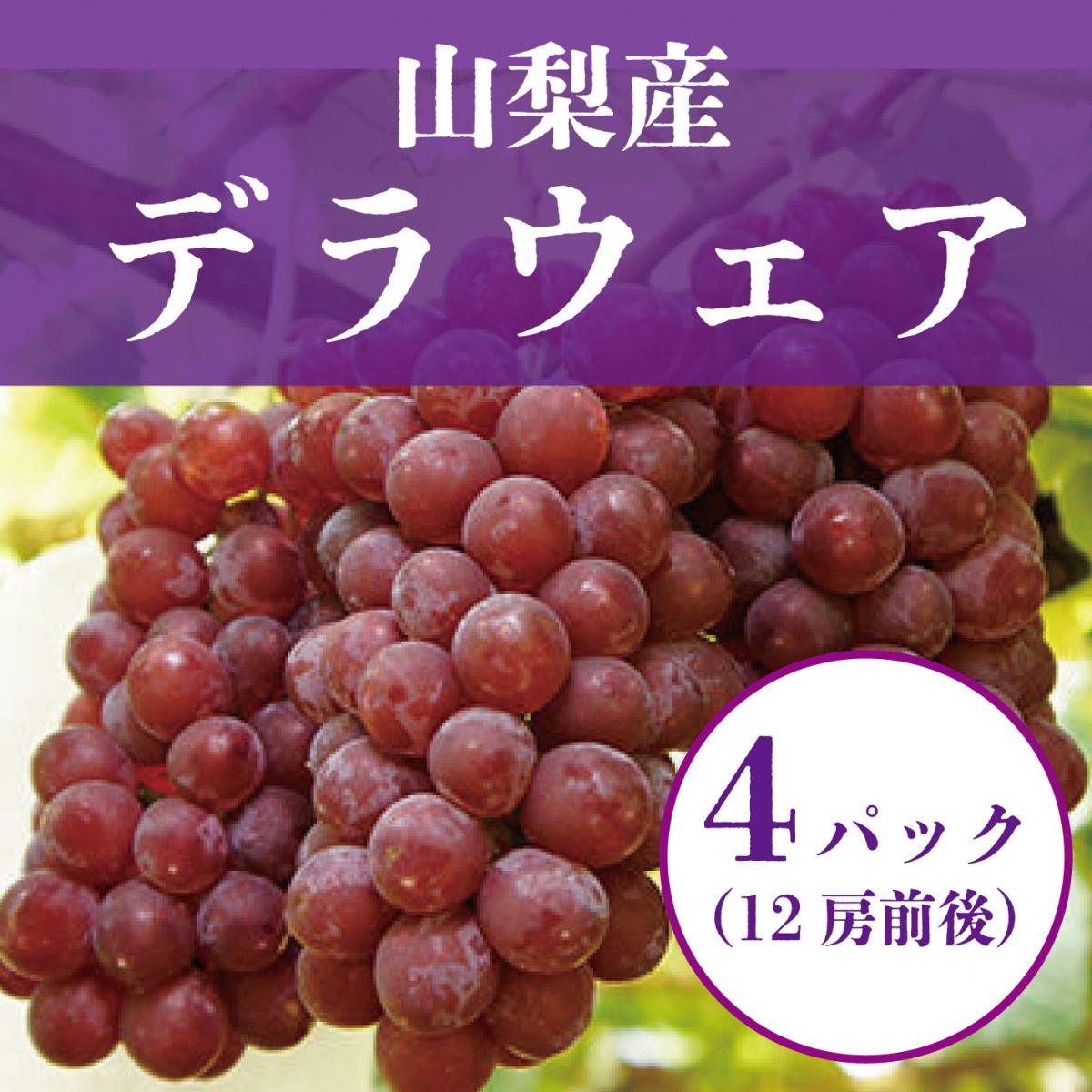 【山梨県産デラウェア　たっぷり4パック(12房)詰め合わせ】大人気果物!ブランド産地!サムネイル