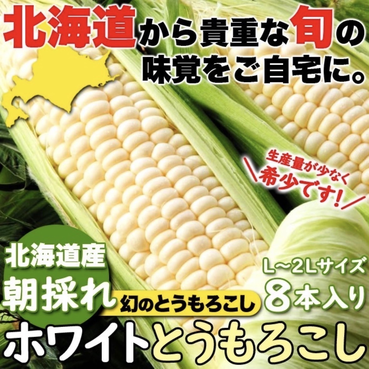 【予約販売】北海道産朝採れホワイトとうもろこし　L〜2Lサイズ　8本入りサムネイル