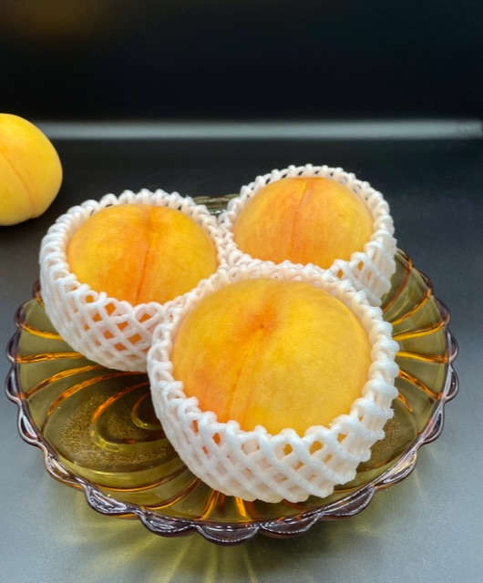 福島県産　朝採り　黄金桃 と　あかつきセット　10～12個 贈答用可