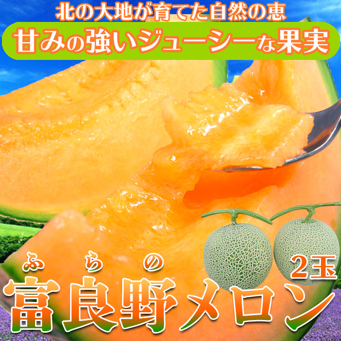 【期間限定】贈り物にも嬉しい人気の一品♪ 北海道産. 富良野メロン2玉入りサムネイル
